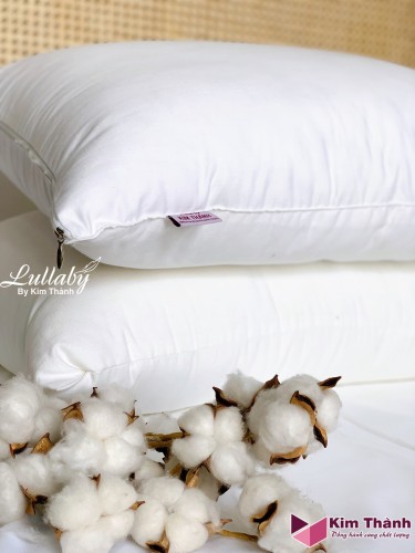 Ruột gối Microfiber Korea Virgin